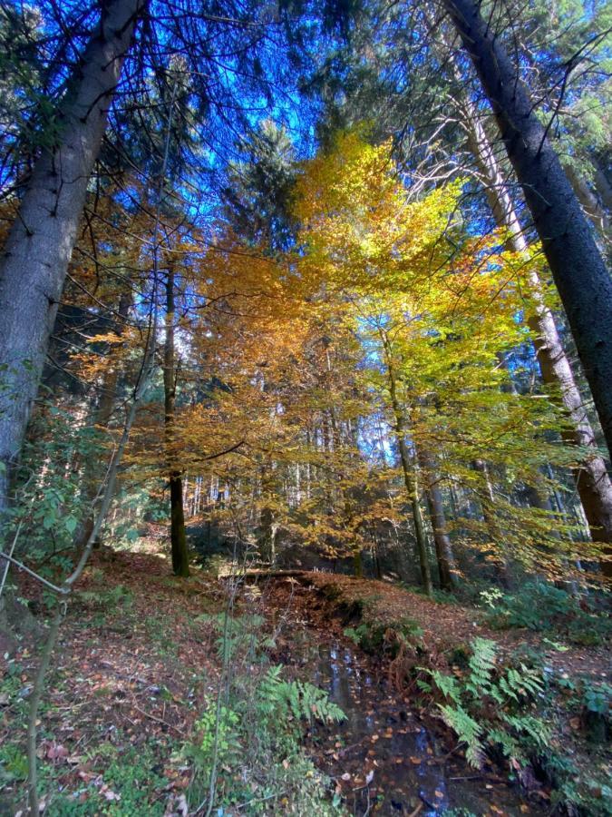 Harz Is Calling Goslar Exterior foto